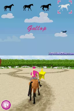 Image n° 3 - screenshots : Barbie Horse Adventures - Riding Camp